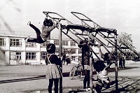 1967年4月栃二小校庭.jpg