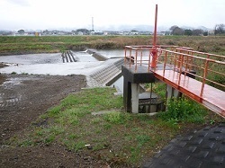 2023年3月18日榎本堰.jpg