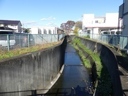 兵庫川1.jpg