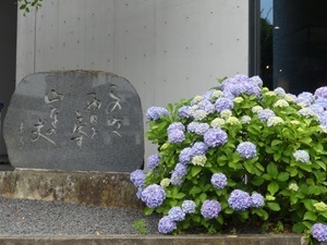 前田雀郎句碑とアジサイ.jpg