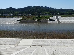 大平橋上流部の水位観測所付近1.jpg