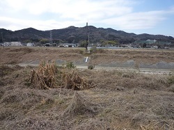 大平橋上流部の水位観測所付近2.jpg