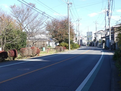 天狗台から下る.jpg
