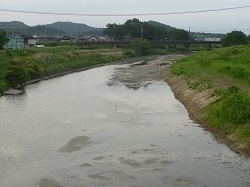 川谷橋上流域2.jpg