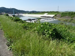 新西野田堰付近1.jpg