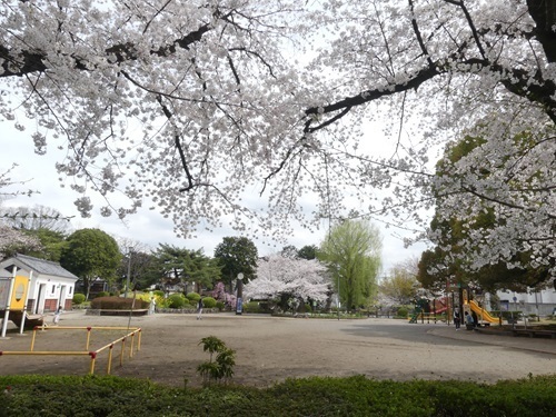 栃木市第二公園.jpg