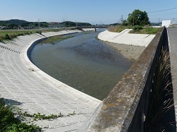 永久橋上流域1.jpg
