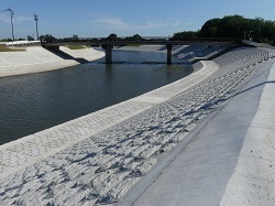 町田橋上流域1.jpg