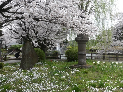 第二公園内に建つ石碑.jpg