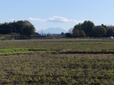 針ヶ谷町の雑木林の合間に筑波山を望む.jpg