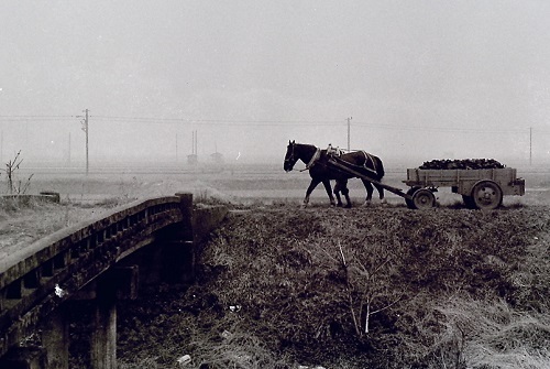 馬車引き1.jpg
