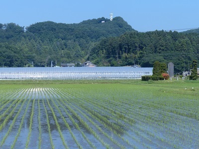 鴻巣山遠望.jpg