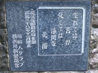 花又花酔の句.jpg